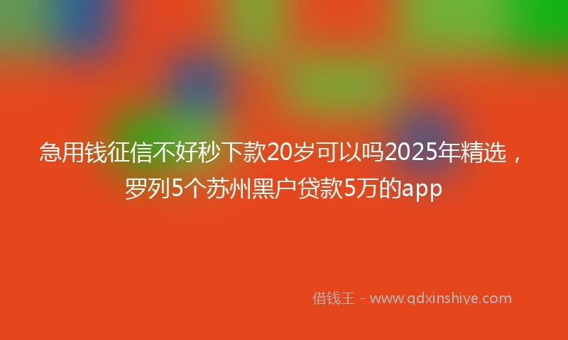 急用钱征信不好秒下款20岁可以吗2025年精选，罗列5个苏州黑户贷款5万的app