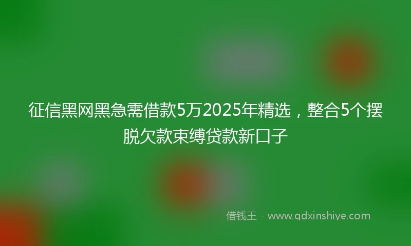 征信黑网黑急需借款5万2025年精选，整合5个摆脱欠款束缚贷款新口子