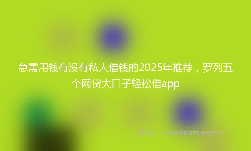 急需用钱有没有私人借钱的2025年推荐，罗列五个网贷大口子轻松借app