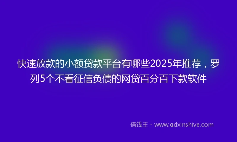 快速放款的小额贷款平台有哪些2025年推荐，罗列5个不看征信负债的网贷百分百下款软件