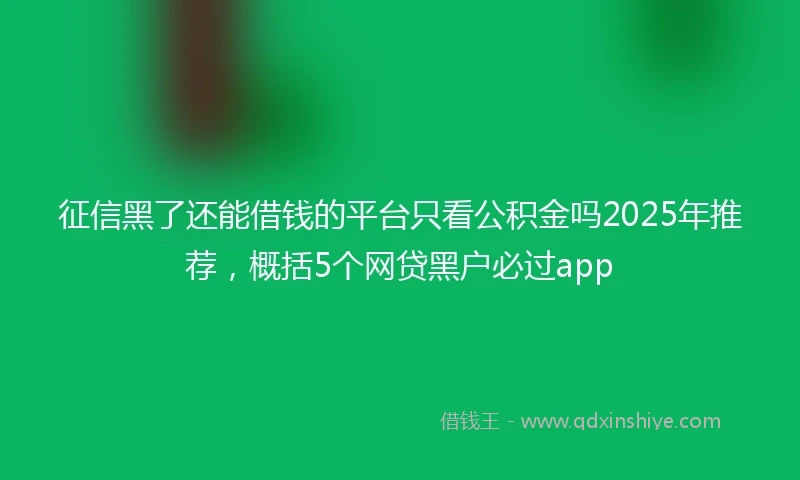 征信黑了还能借钱的平台只看公积金吗2025年推荐，概括5个网贷黑户必过app