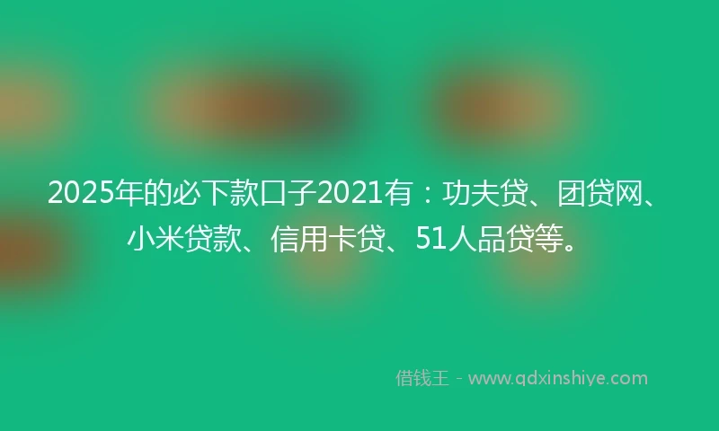 2025年的必下款口子2021有：功夫贷、团贷网、小米贷款、信用卡贷、51人品贷等。