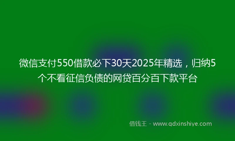 微信支付550借款必下30天2025年精选，归纳5个不看征信负债的网贷百分百下款平台