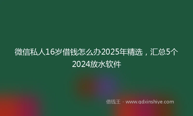 微信私人16岁借钱怎么办2025年精选，汇总5个2024放水软件