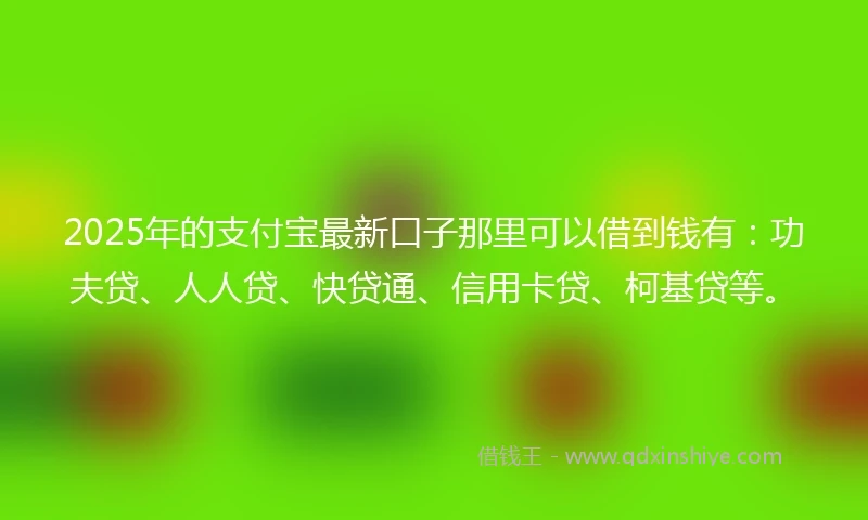 2025年的支付宝最新口子那里可以借到钱有：功夫贷、人人贷、快贷通、信用卡贷、柯基贷等。