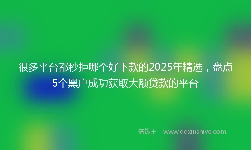 很多平台都秒拒哪个好下款的2025年精选,盘点5个黑户成功获取大额贷款的平台