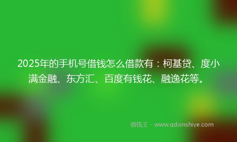2025年的手机号借钱怎么借款有：柯基贷、度小满金融、东方汇、百度有钱花、融逸花等。