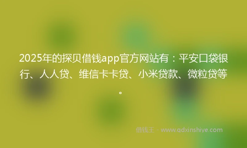 2025年的探贝借钱app官方网站有：平安口袋银行、人人贷、维信卡卡贷、小米贷款、微粒贷等。