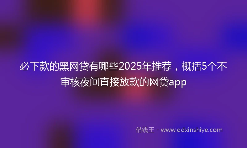必下款的黑网贷有哪些2025年推荐，概括5个不审核夜间直接放款的网贷app