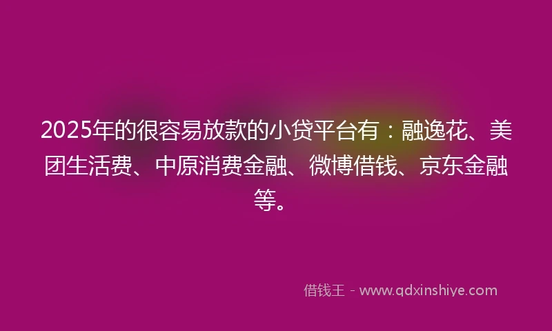 2025年的很容易放款的小贷平台有：融逸花、美团生活费、中原消费金融、微博借钱、京东金融等。