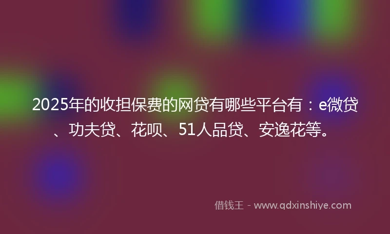 2025年的收担保费的网贷有哪些平台有：e微贷、功夫贷、花呗、51人品贷、安逸花等。