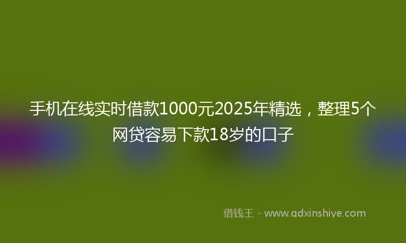 手机在线实时借款1000元2025年精选，整理5个网贷容易下款18岁的口子
