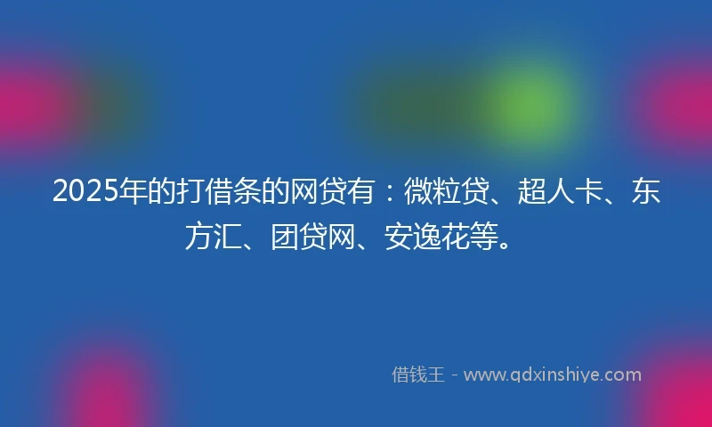 2025年的打借条的网贷有：微粒贷、超人卡、东方汇、团贷网、安逸花等。