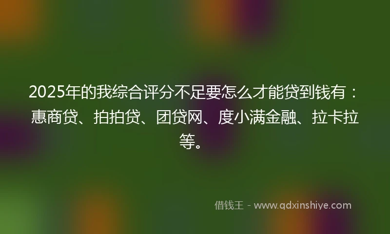 2025年的我综合评分不足要怎么才能贷到钱有：惠商贷、拍拍贷、团贷网、度小满金融、拉卡拉等。