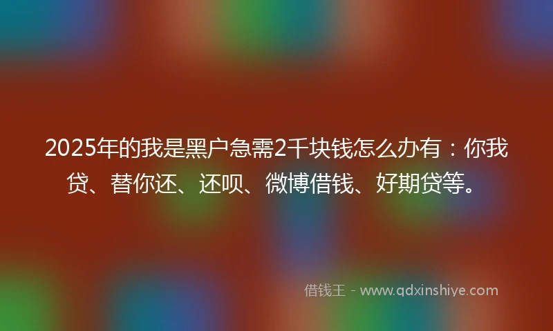 2025年的我是黑户急需2千块钱怎么办有：你我贷、替你还、还呗、微博借钱、好期贷等。