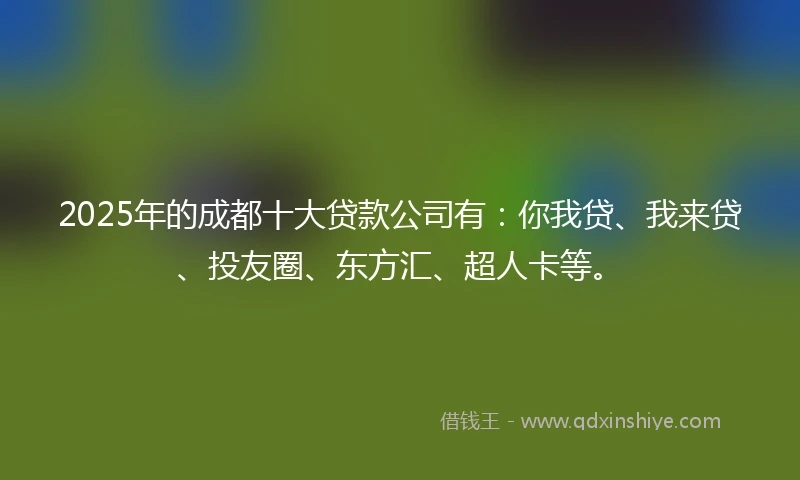 2025年的成都十大贷款公司有：你我贷、我来贷、投友圈、东方汇、超人卡等。