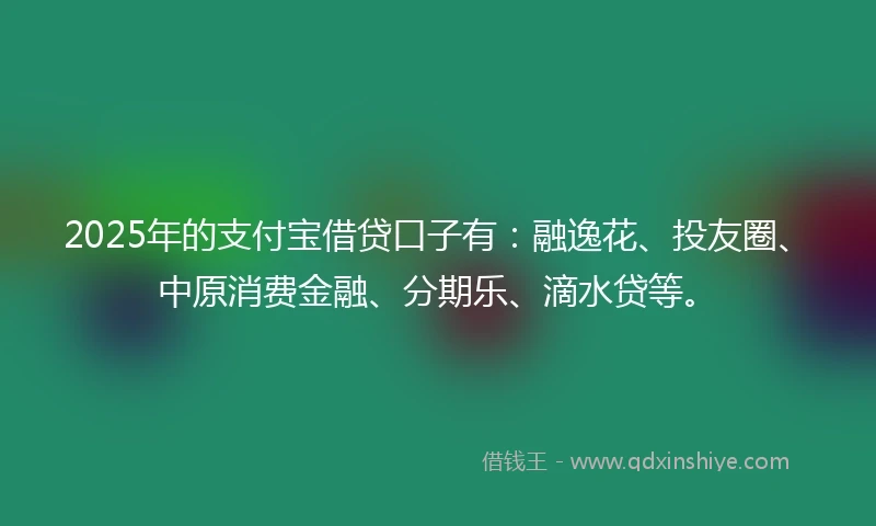2025年的支付宝借贷口子有：融逸花、投友圈、中原消费金融、分期乐、滴水贷等。