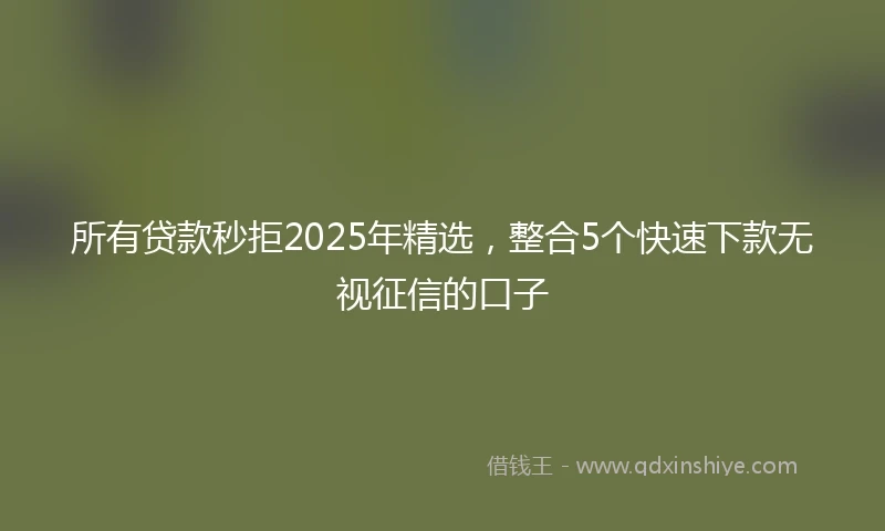 所有贷款秒拒2025年精选，整合5个快速下款无视征信的口子