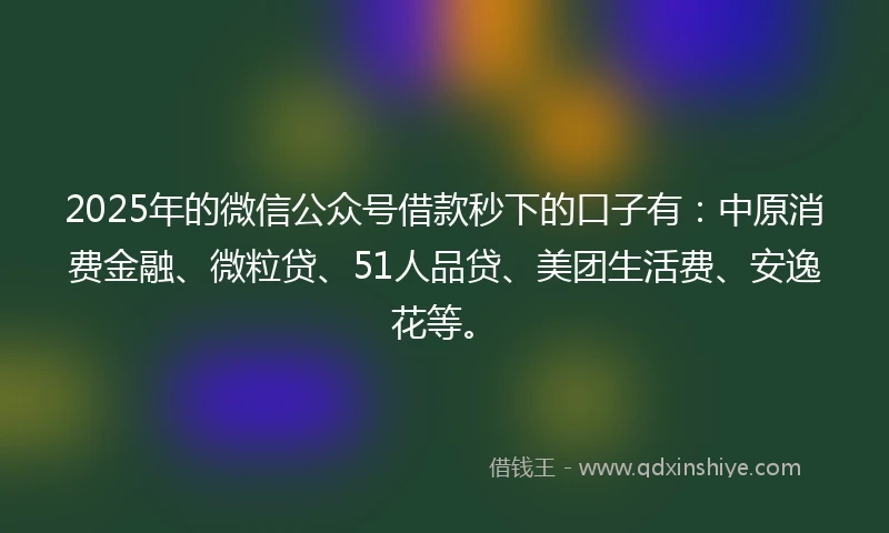 2025年的微信公众号借款秒下的口子有：中原消费金融、微粒贷、51人品贷、美团生活费、安逸花等。