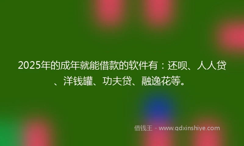 2025年的成年就能借款的软件有：还呗、人人贷、洋钱罐、功夫贷、融逸花等。