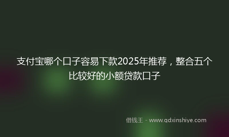 支付宝哪个口子容易下款2025年推荐，整合五个比较好的小额贷款口子