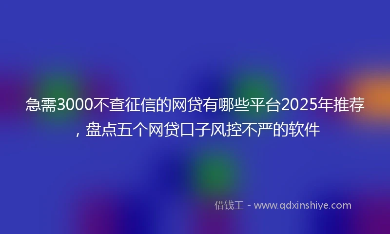 急需3000不查征信的网贷有哪些平台2025年推荐,盘点五个网贷口子风控不严的软件