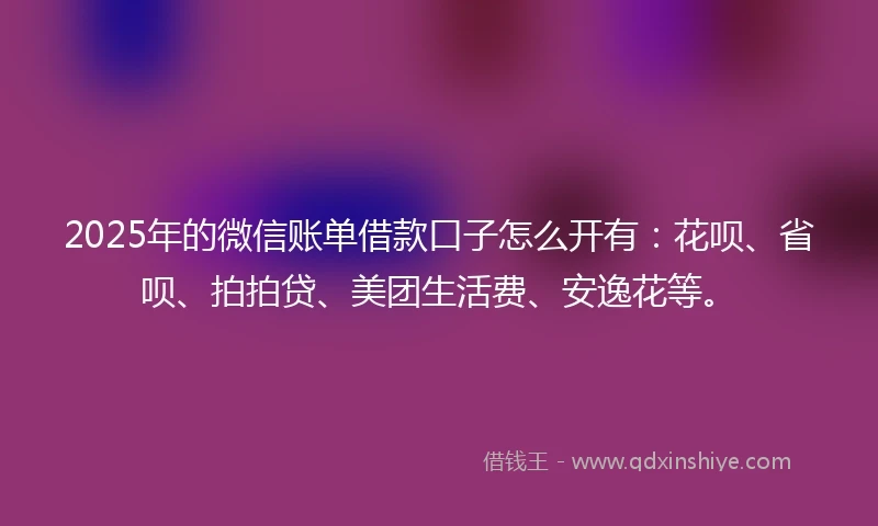 2025年的微信账单借款口子怎么开有：花呗、省呗、拍拍贷、美团生活费、安逸花等。