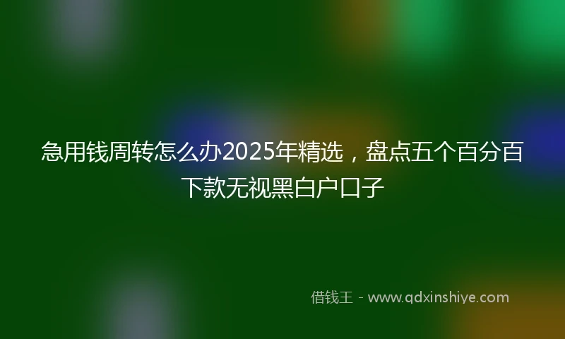 急用钱周转怎么办2025年精选，盘点五个百分百下款无视黑白户口子