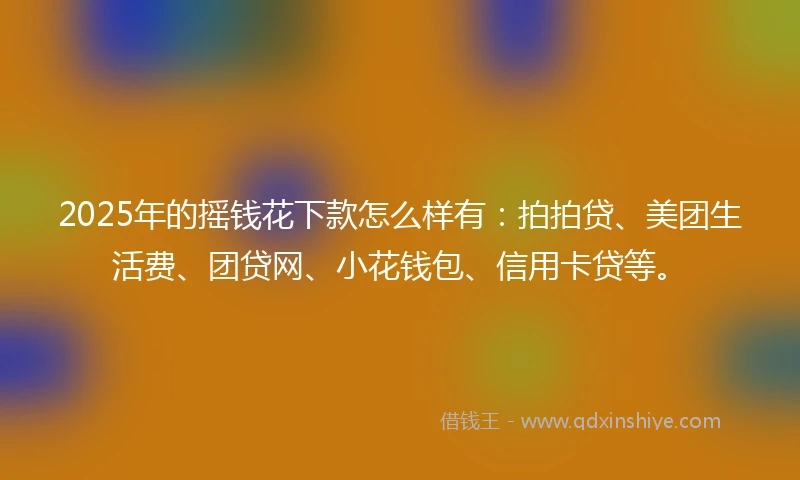 2025年的摇钱花下款怎么样有：拍拍贷、美团生活费、团贷网、小花钱包、信用卡贷等。