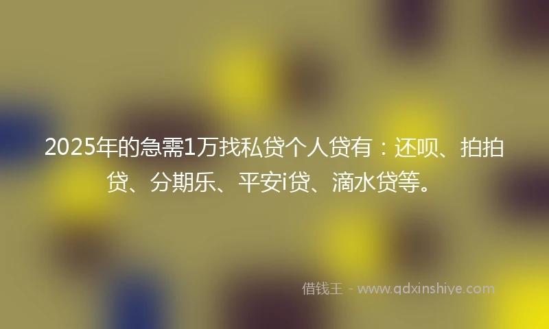 2025年的急需1万找私贷个人贷有：还呗、拍拍贷、分期乐、平安i贷、滴水贷等。