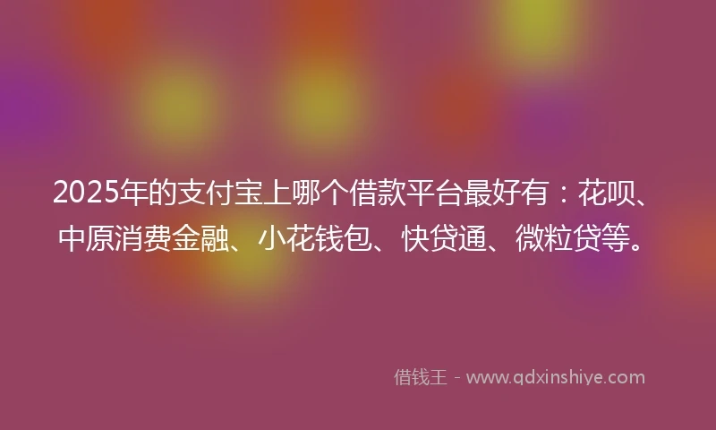 2025年的支付宝上哪个借款平台最好有：花呗、中原消费金融、小花钱包、快贷通、微粒贷等。