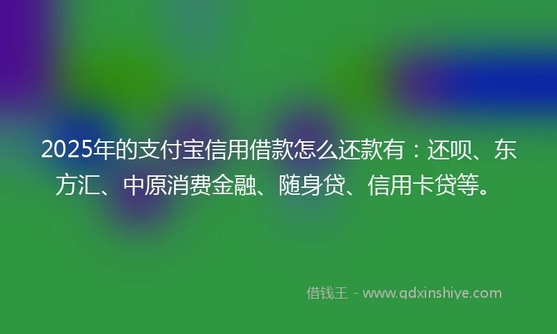 2025年的支付宝信用借款怎么还款有：还呗、东方汇、中原消费金融、随身贷、信用卡贷等。