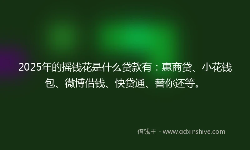 2025年的摇钱花是什么贷款有：惠商贷、小花钱包、微博借钱、快贷通、替你还等。