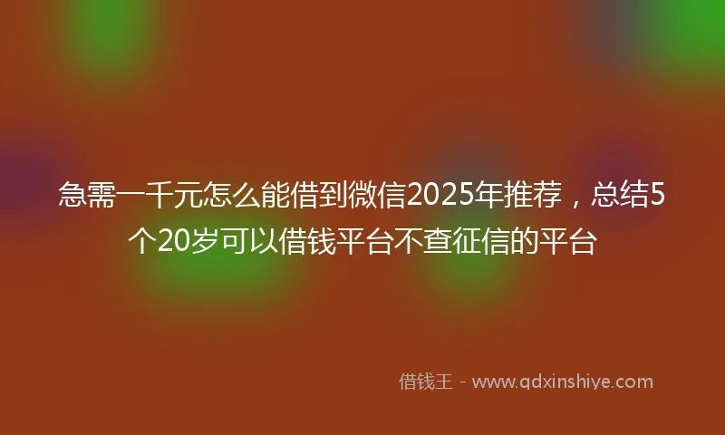 急需一千元怎么能借到微信2025年推荐，总结5个20岁可以借钱平台不查征信的平台