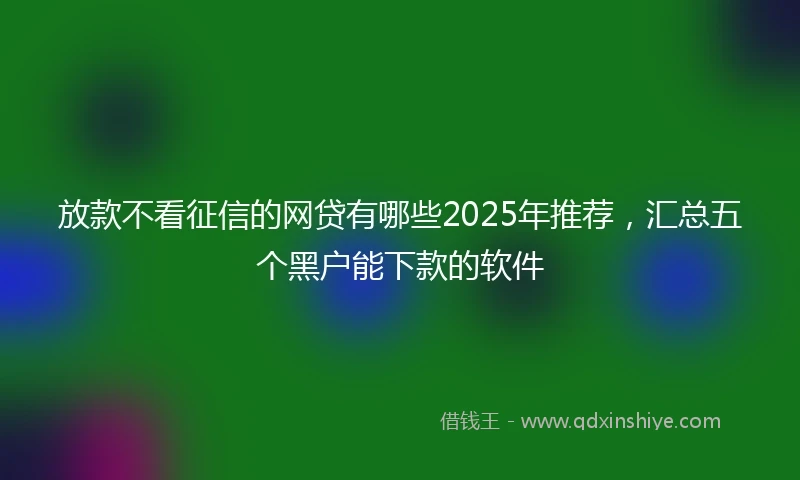 放款不看征信的网贷有哪些2025年推荐，汇总五个黑户能下款的软件