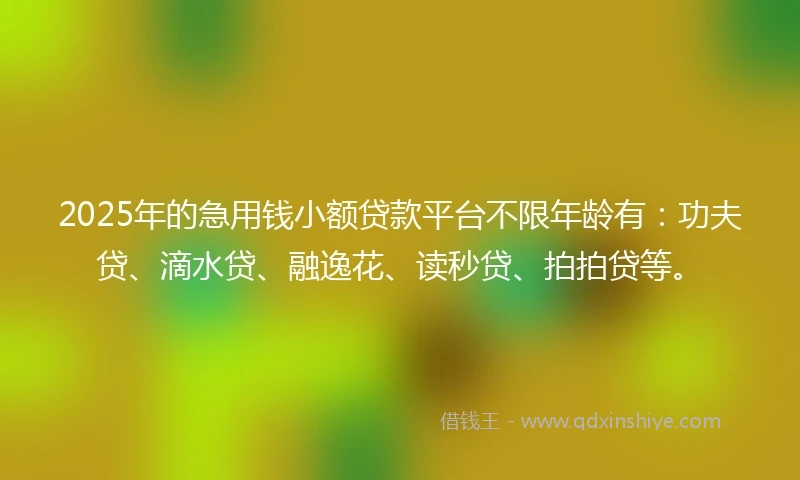 2025年的急用钱小额贷款平台不限年龄有:功夫贷、滴水贷、融逸花、读秒贷、拍拍贷等。