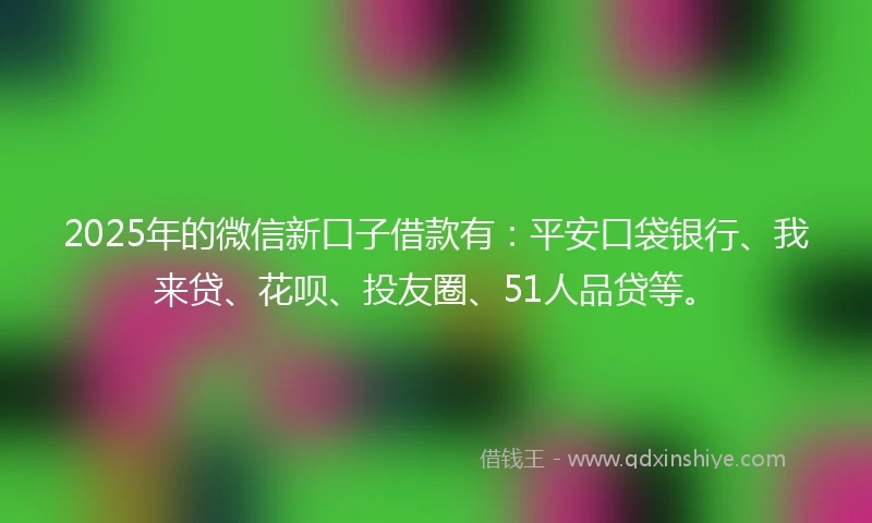 2025年的微信新口子借款有：平安口袋银行、我来贷、花呗、投友圈、51人品贷等。