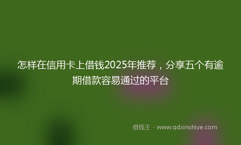 怎样在信用卡上借钱2025年推荐，分享五个有逾期借款容易通过的平台