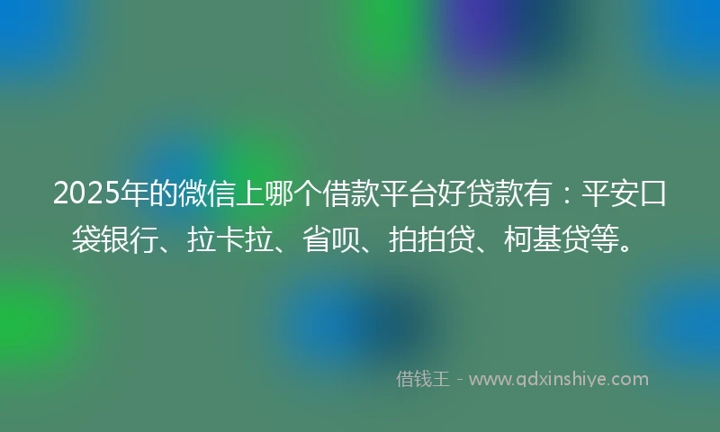 2025年的微信上哪个借款平台好贷款有：平安口袋银行、拉卡拉、省呗、拍拍贷、柯基贷等。