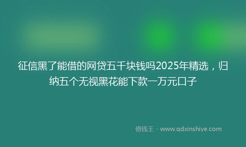 征信黑了能借的网贷五千块钱吗2025年精选，归纳五个无视黑花能下款一万元口子