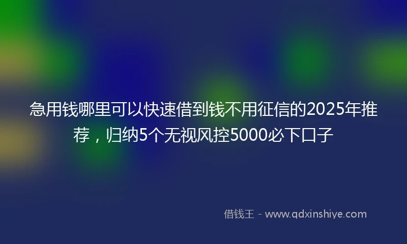急用钱哪里可以快速借到钱不用征信的2025年推荐，归纳5个无视风控5000必下口子
