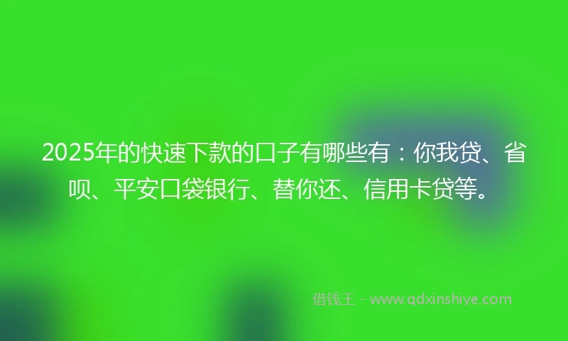 2025年的快速下款的口子有哪些有：你我贷、省呗、平安口袋银行、替你还、信用卡贷等。