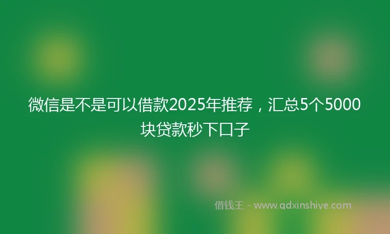 微信是不是可以借款2025年推荐，汇总5个5000块贷款秒下口子