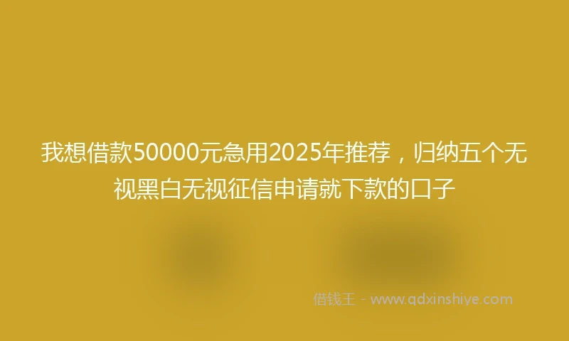 我想借款50000元急用2025年推荐，归纳五个无视黑白无视征信申请就下款的口子