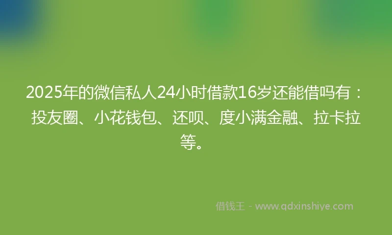 2025年的微信私人24小时借款16岁还能借吗有：投友圈、小花钱包、还呗、度小满金融、拉卡拉等。