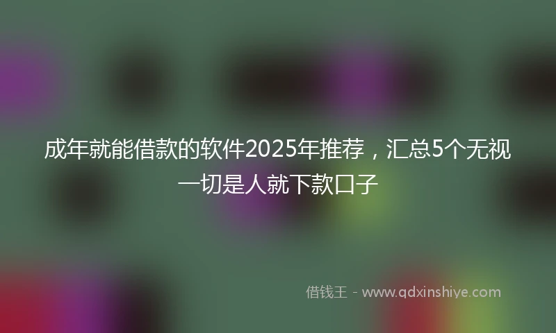 成年就能借款的软件2025年推荐，汇总5个无视一切是人就下款口子