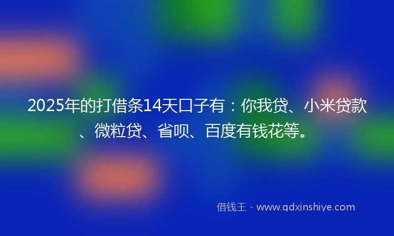 2025年的打借条14天口子有：你我贷、小米贷款、微粒贷、省呗、百度有钱花等。