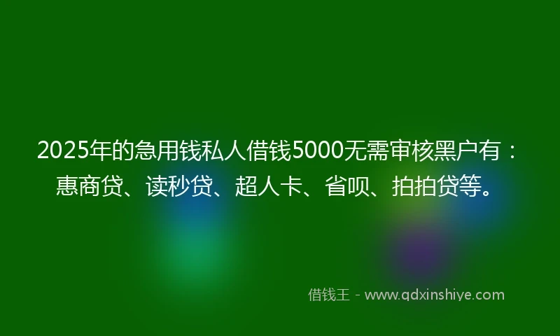 2025年的急用钱私人借钱5000无需审核黑户有：惠商贷、读秒贷、超人卡、省呗、拍拍贷等。