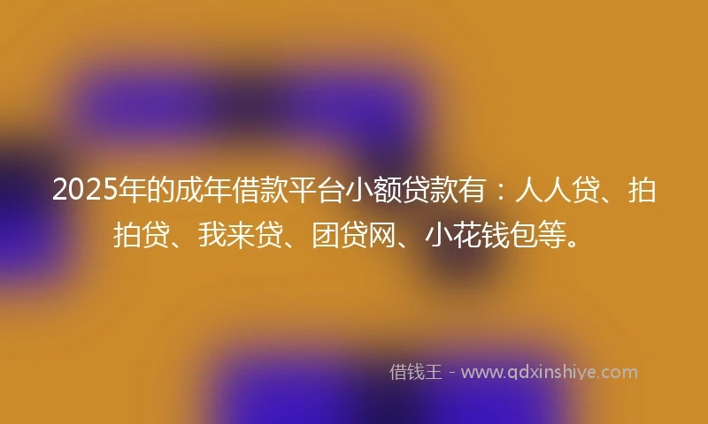 2025年的成年借款平台小额贷款有：人人贷、拍拍贷、我来贷、团贷网、小花钱包等。