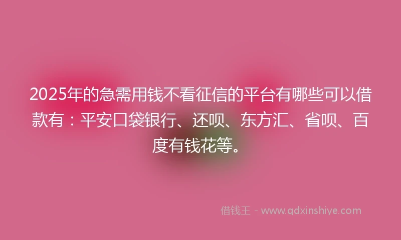 2025年的急需用钱不看征信的平台有哪些可以借款有：平安口袋银行、还呗、东方汇、省呗、百度有钱花等。